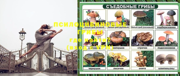 прущий лед Алзамай