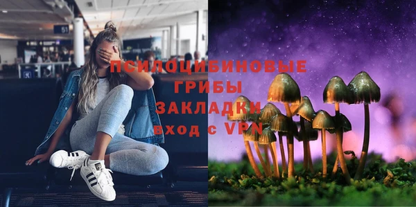 дживик Алексеевка