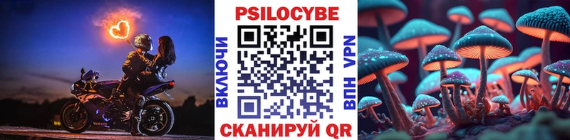 купить  цена  Спасск  Псилоцибиновые грибы Psilocybe 